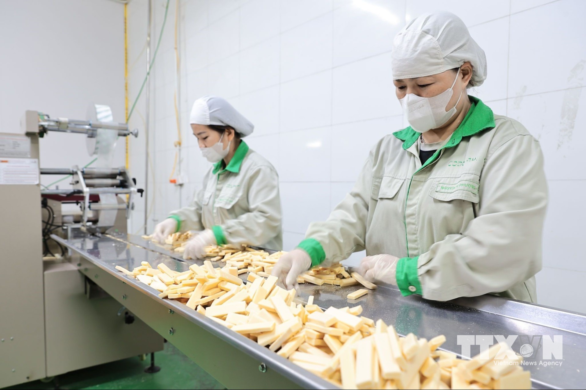 Bánh sữa được công nhân kiểm tra, sắp xếp trên dây chuyền, bảo đảm yêu cầu trước khi đưa sang công đoạn đóng gói. (Ảnh: Lê Đông/TTXVN)